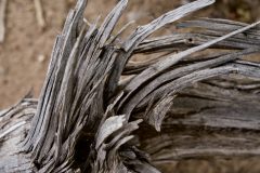 WOOD