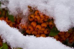 COLOR PEEKING OUT