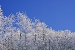 BLUE SKY AFTER THE SNOW