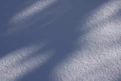 SHADOWS ON SNOW