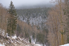 HILLSIDE