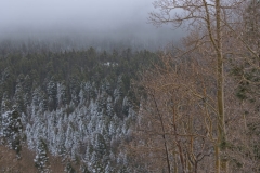 HILLSIDE