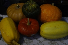 DUTCH MASTERS' STILL LIFE; CREDIT: PHOTO BY JAY SKARDIS