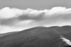 A Dusting of Snow