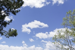 Aspen Vista