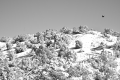 Flying Over