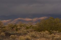 With soft light peeking through, the landscape became a warm tapestry.