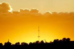 The Glow Around the Cell Tower