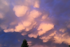 Puffy