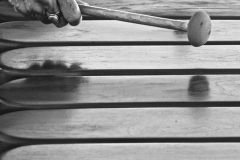 MARIMBA